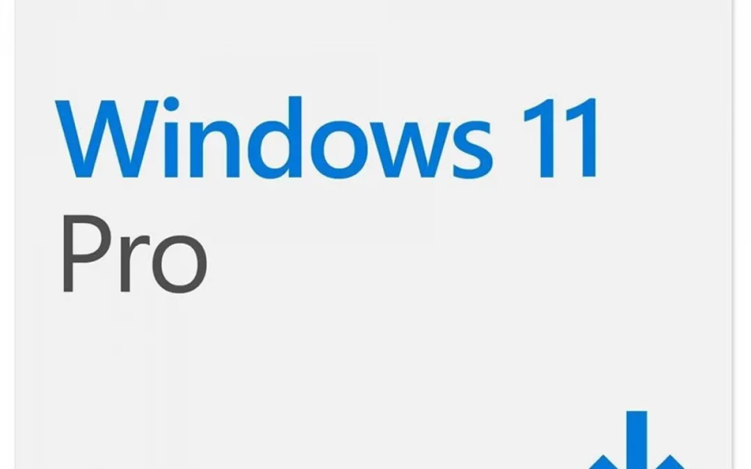 Windows 11 PRO 32/64 ESD Download – Fqc-10572